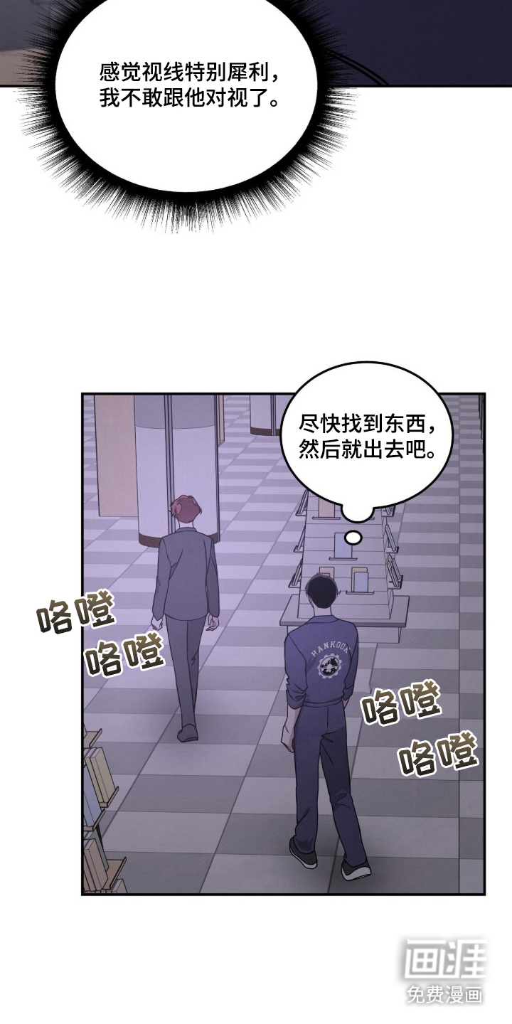 借住的星光图11