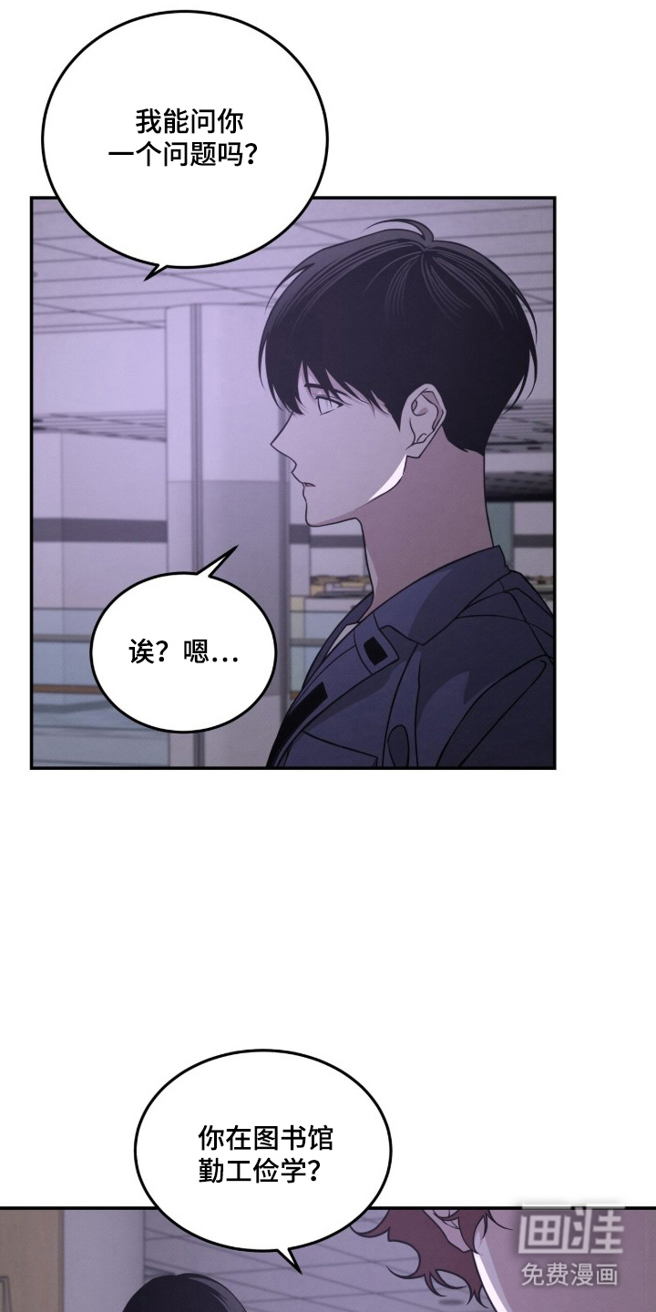 借住的星光图12