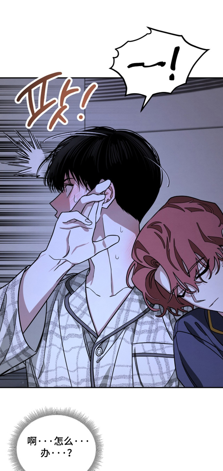 借住的星光漫画-图13
