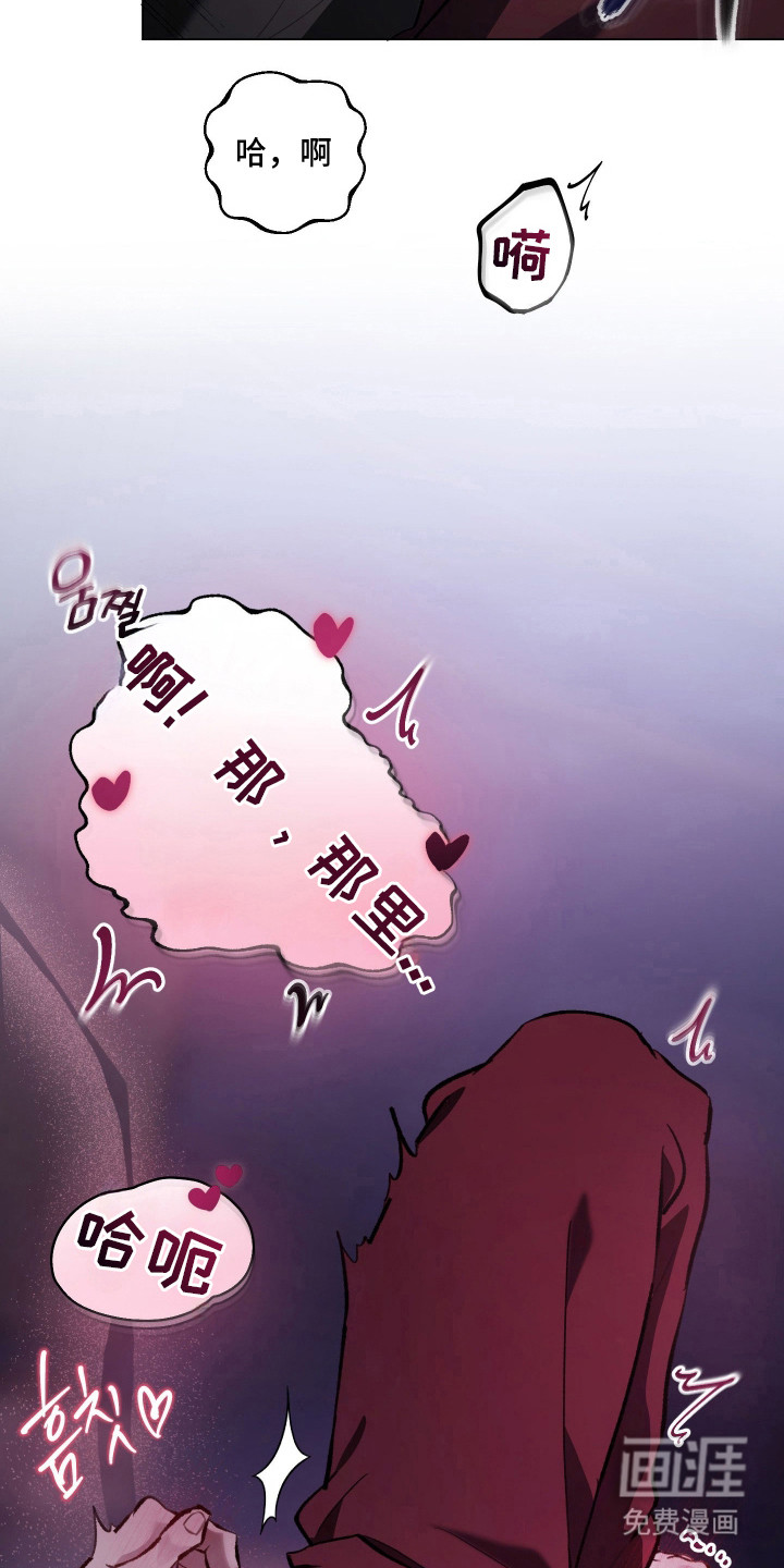 洁癖向导与变态哨兵漫画-图6