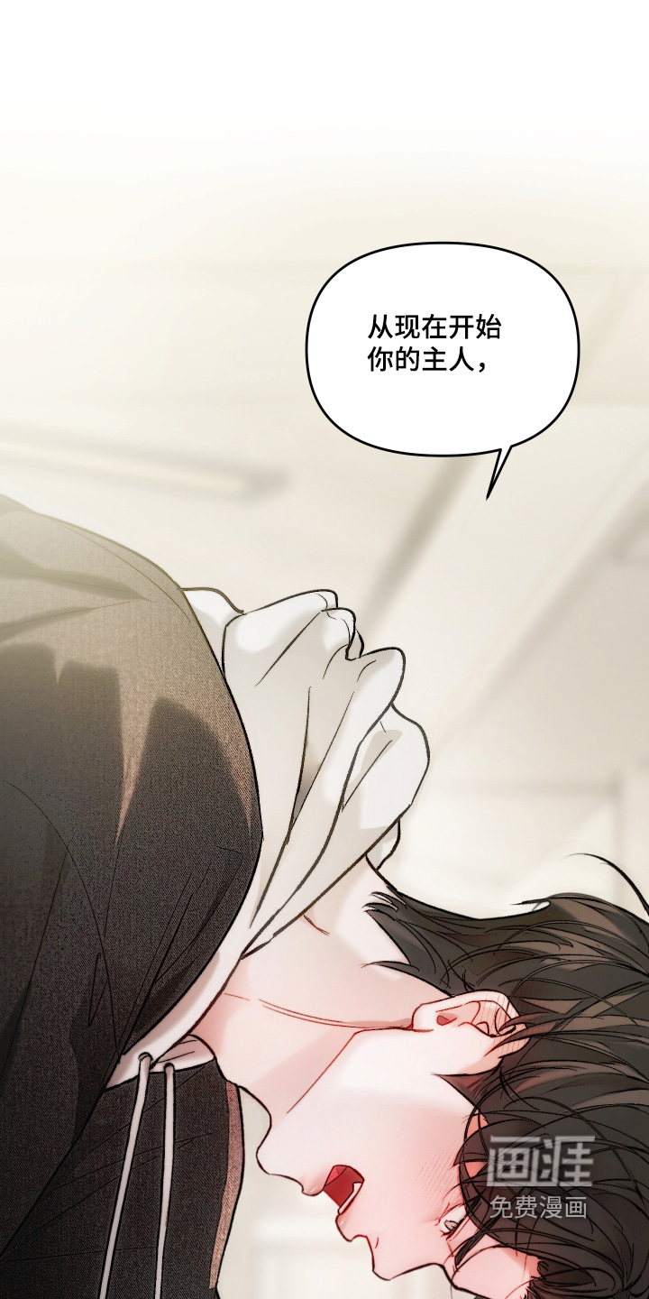 洁癖向导与变态哨兵漫画-图21
