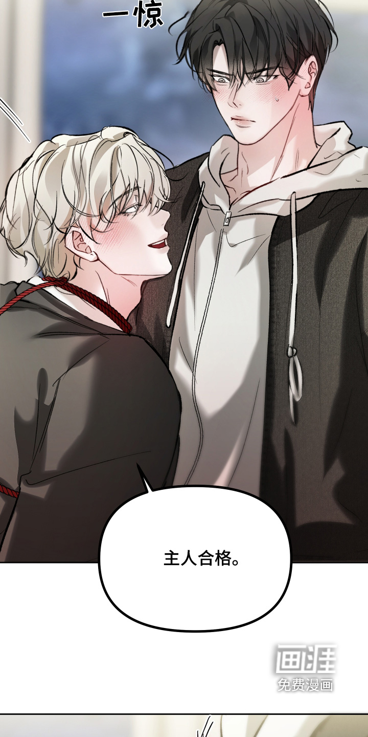 洁癖向导与变态哨兵漫画-图17