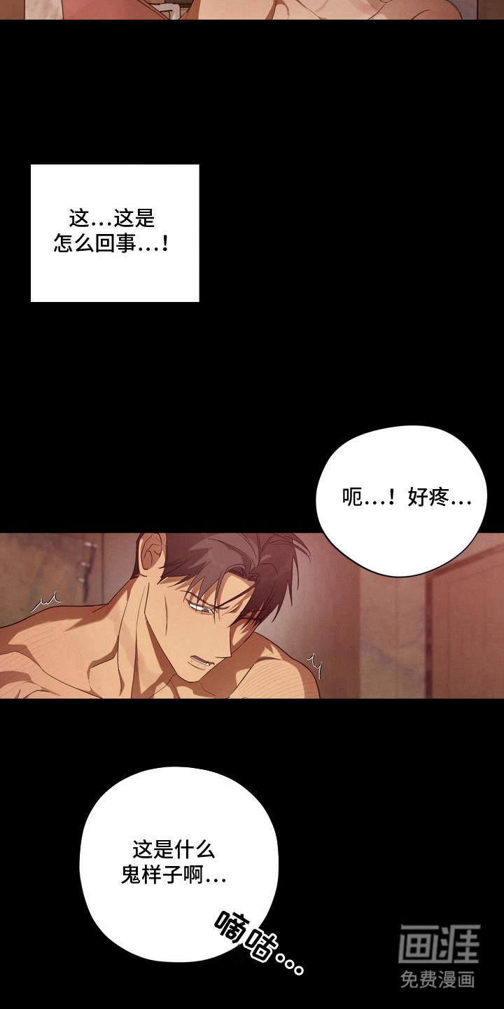 教授请就范漫画-图19