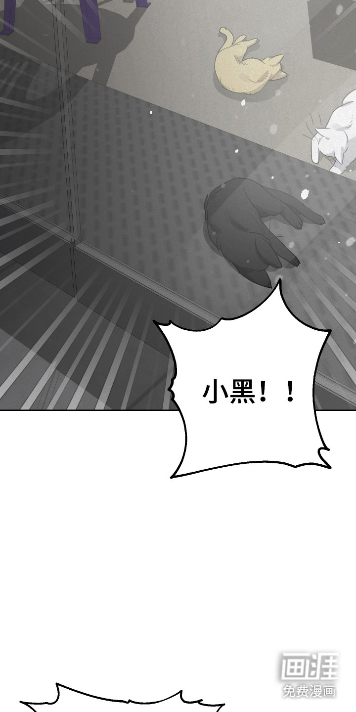 捡来的深渊漫画-图29