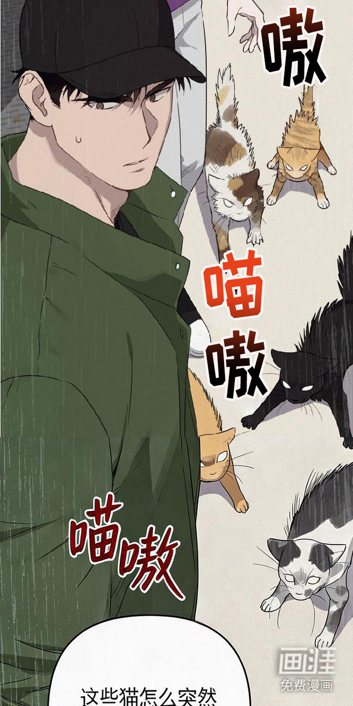 捡来的深渊漫画-图3