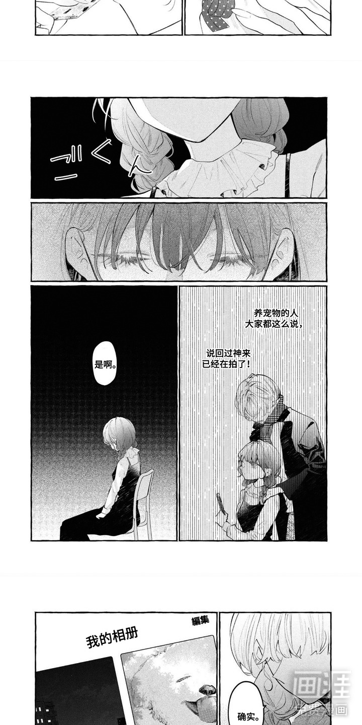 假朋友真恋人漫画-图5