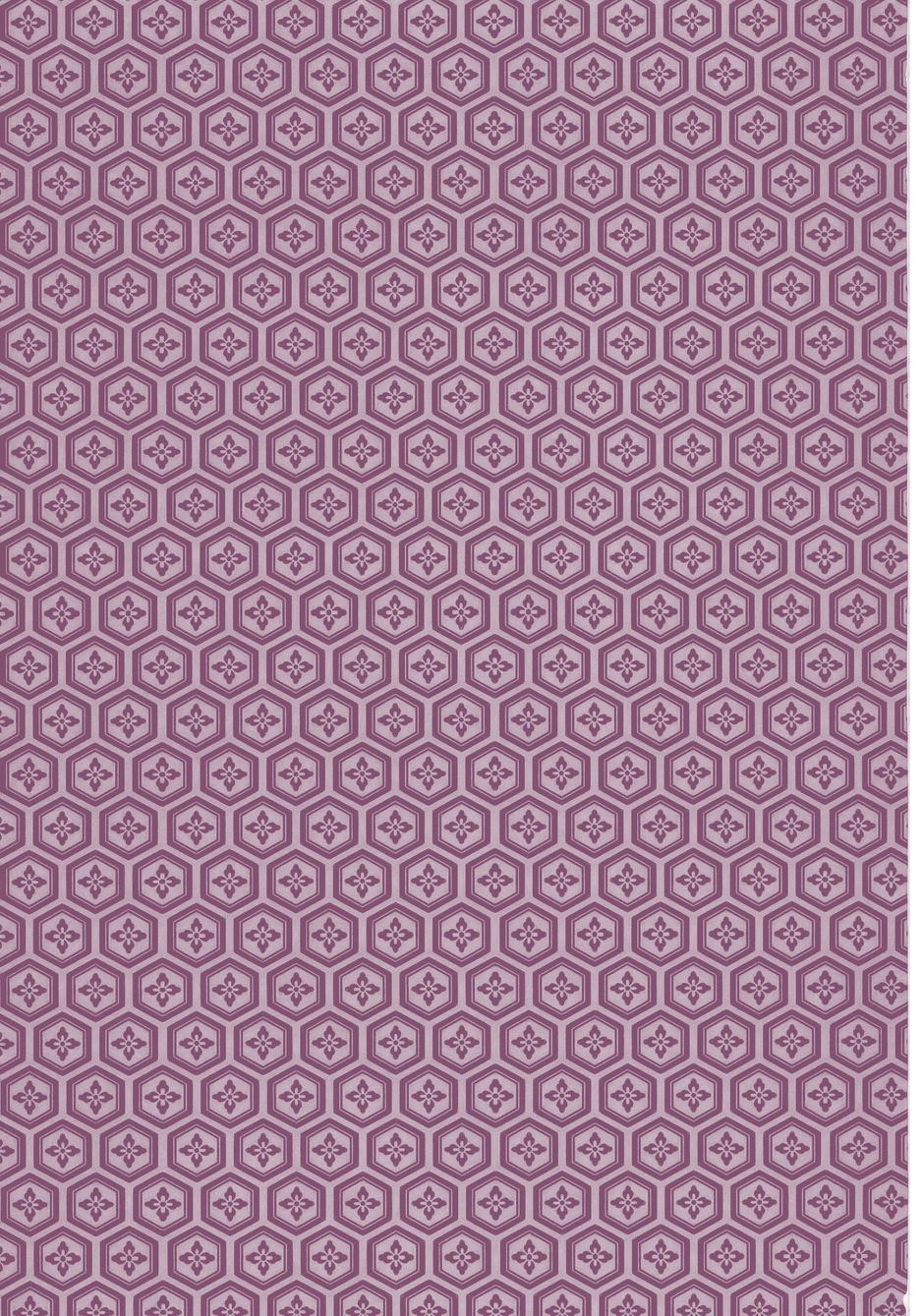 百合侦探 百合&杏 全1话 第1页