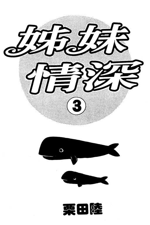 姐妹情深第3卷图