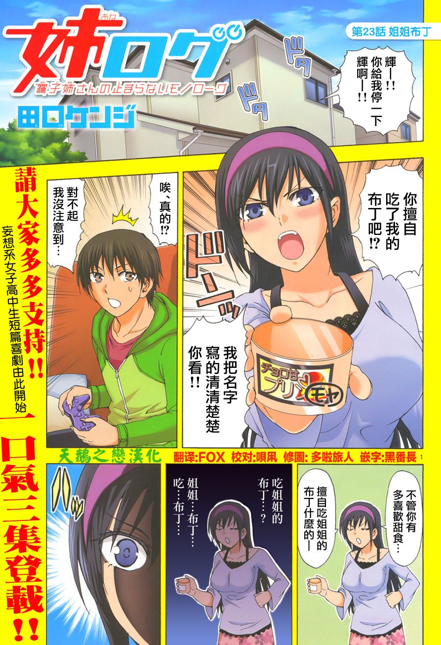 姐姐的妄想日记第23话图