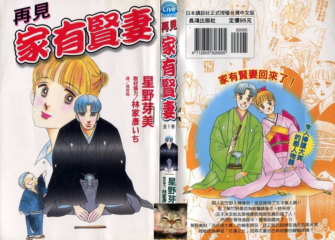 家有贤妻番外篇图