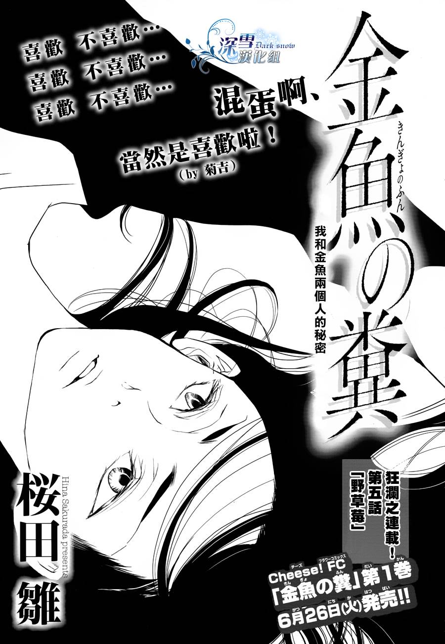 金鱼之粪第5话图