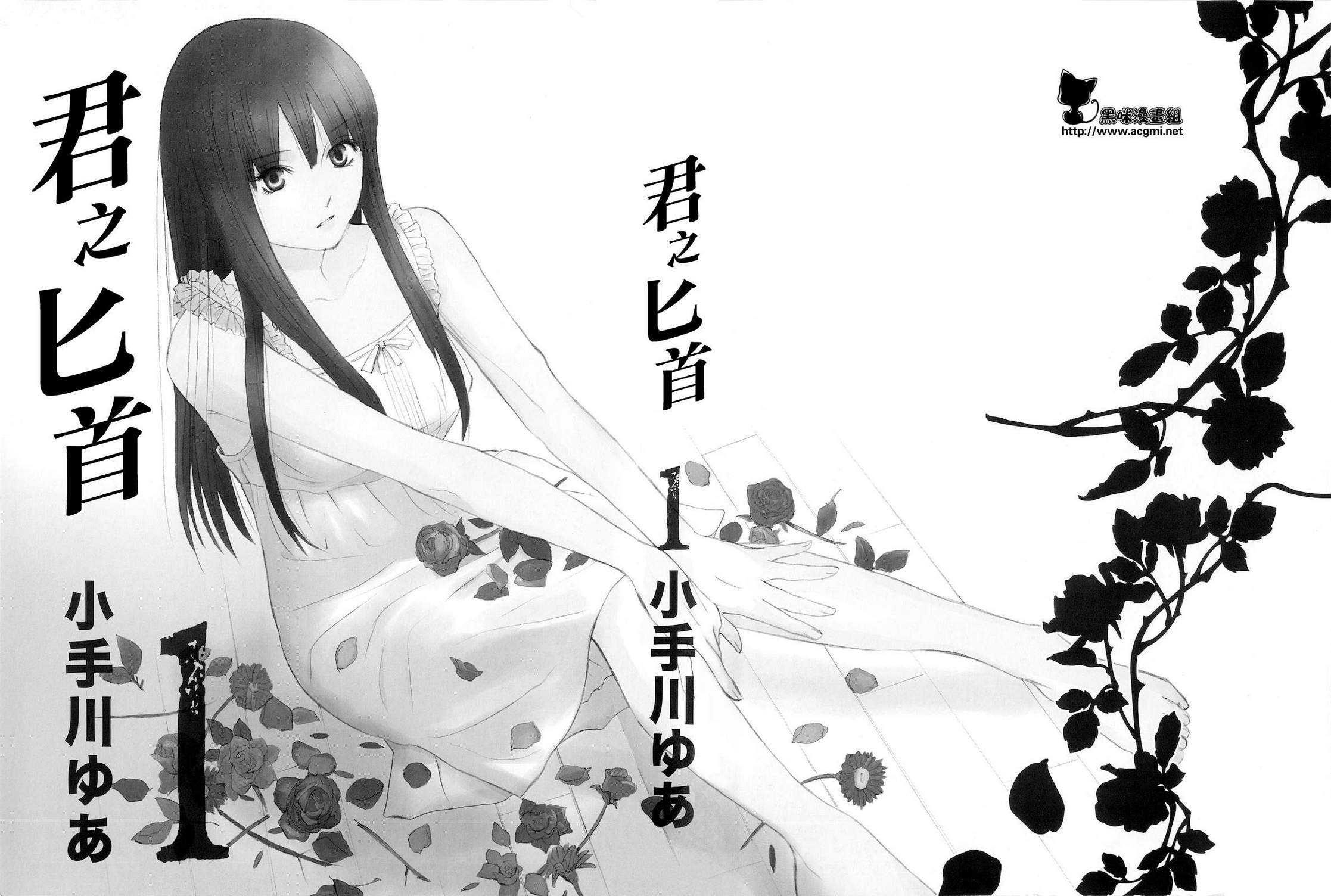 君之匕首第1卷图