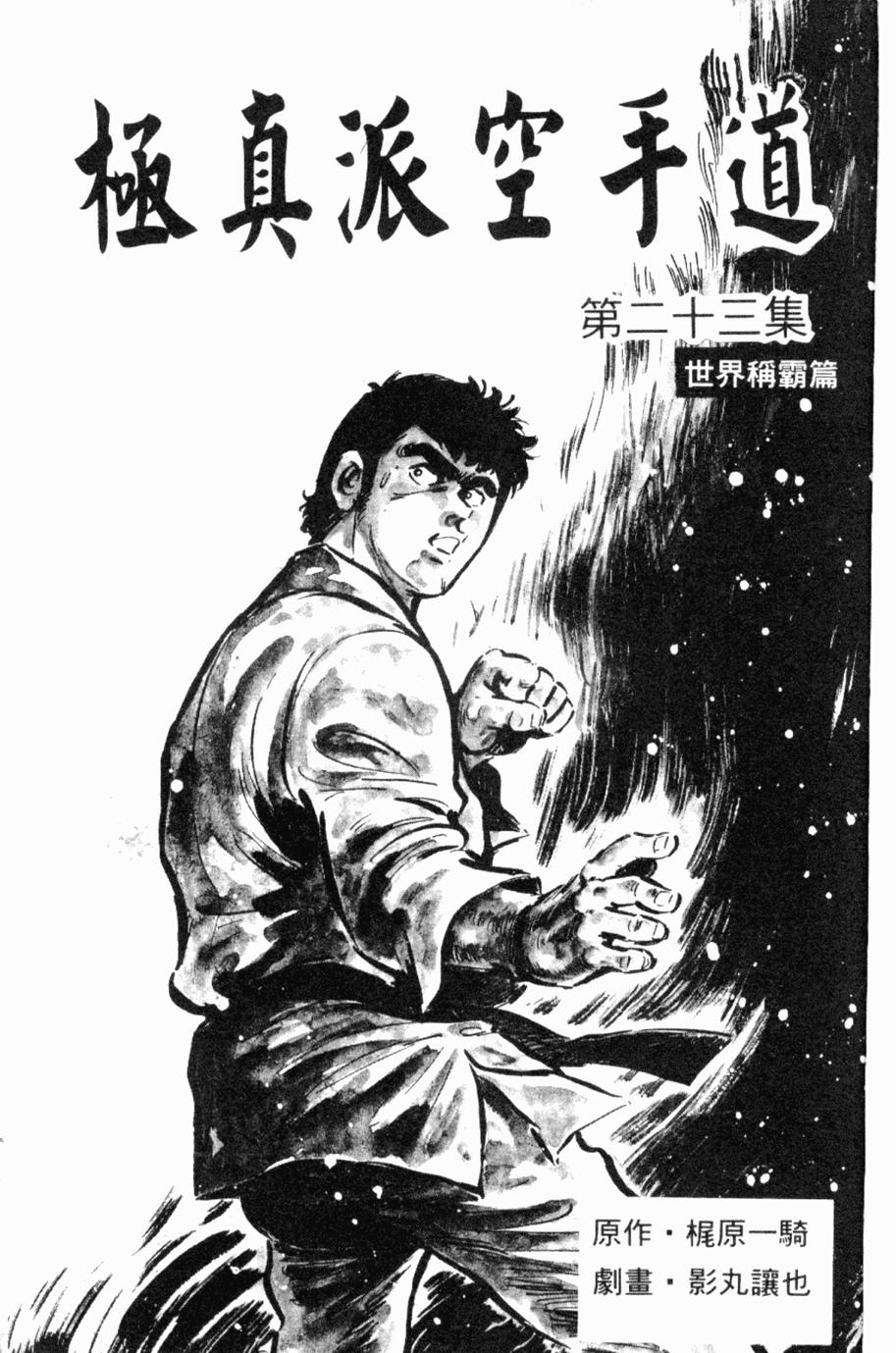 极真派空手道第23卷图