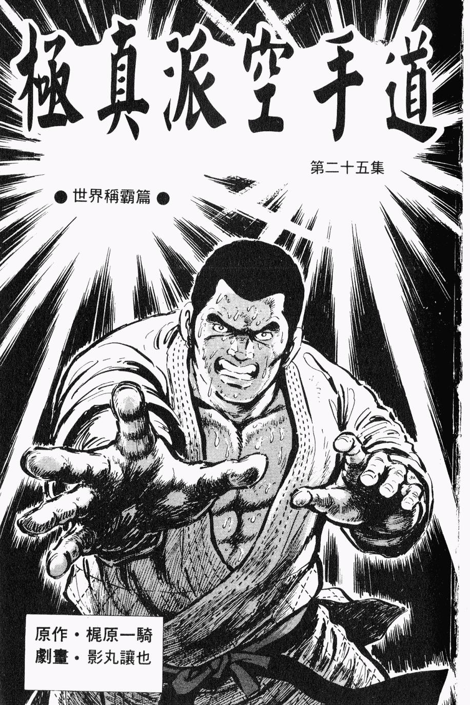 极真派空手道第25卷图