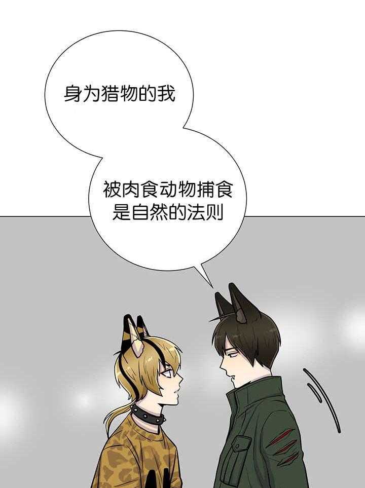 旷野之息（共2季） 第10话 第18页