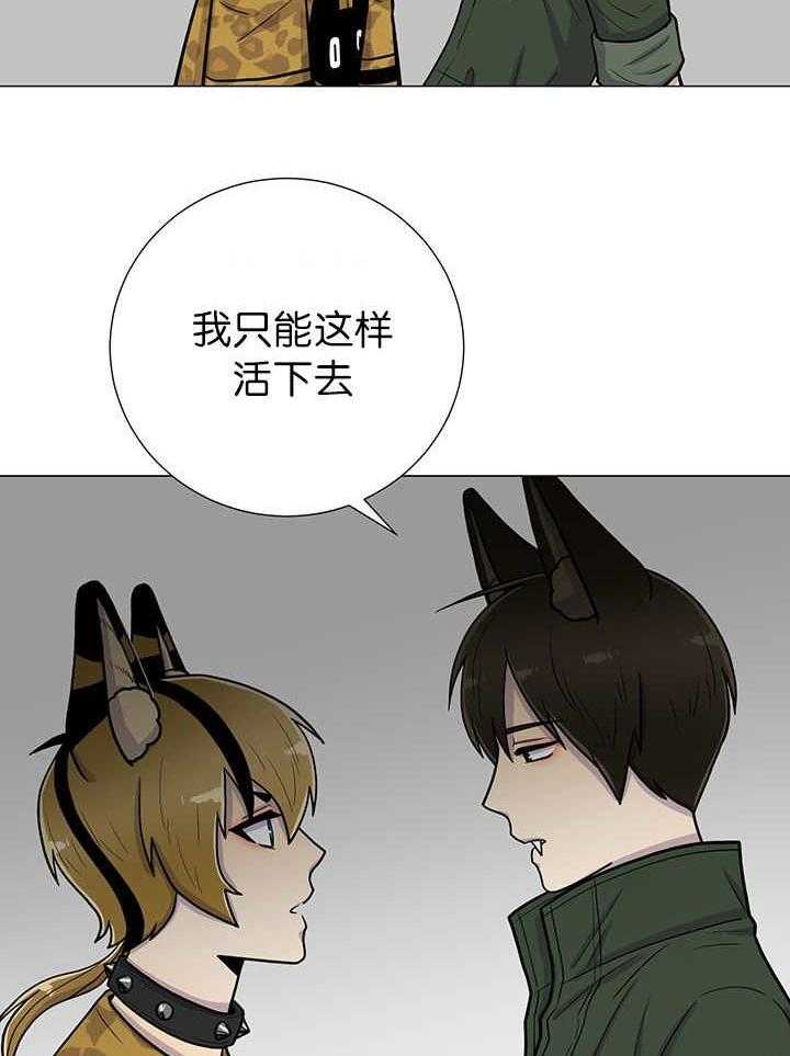 旷野之息（共2季） 第10话 第19页