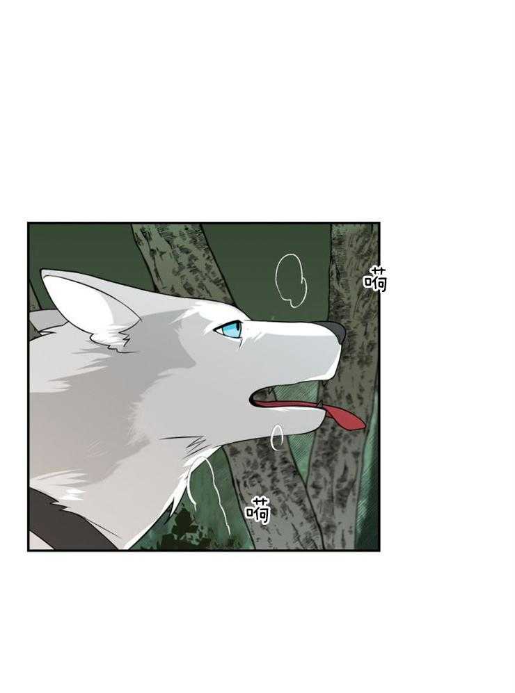 旷野之息（共2季） 第100话 第2页