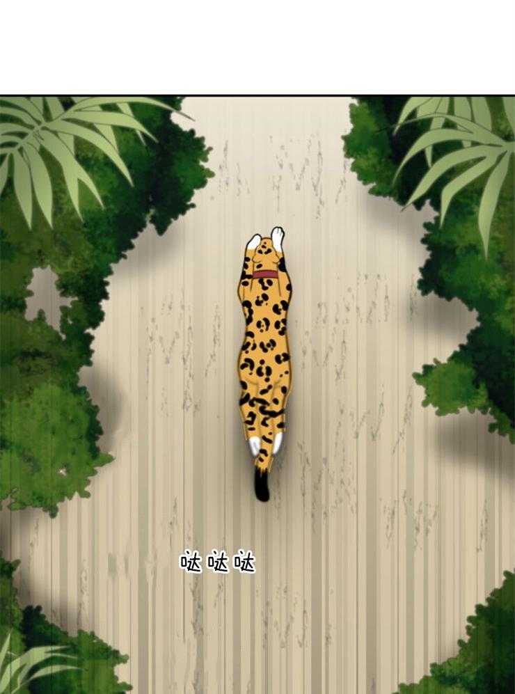 旷野之息（共2季） 第100话 第3页