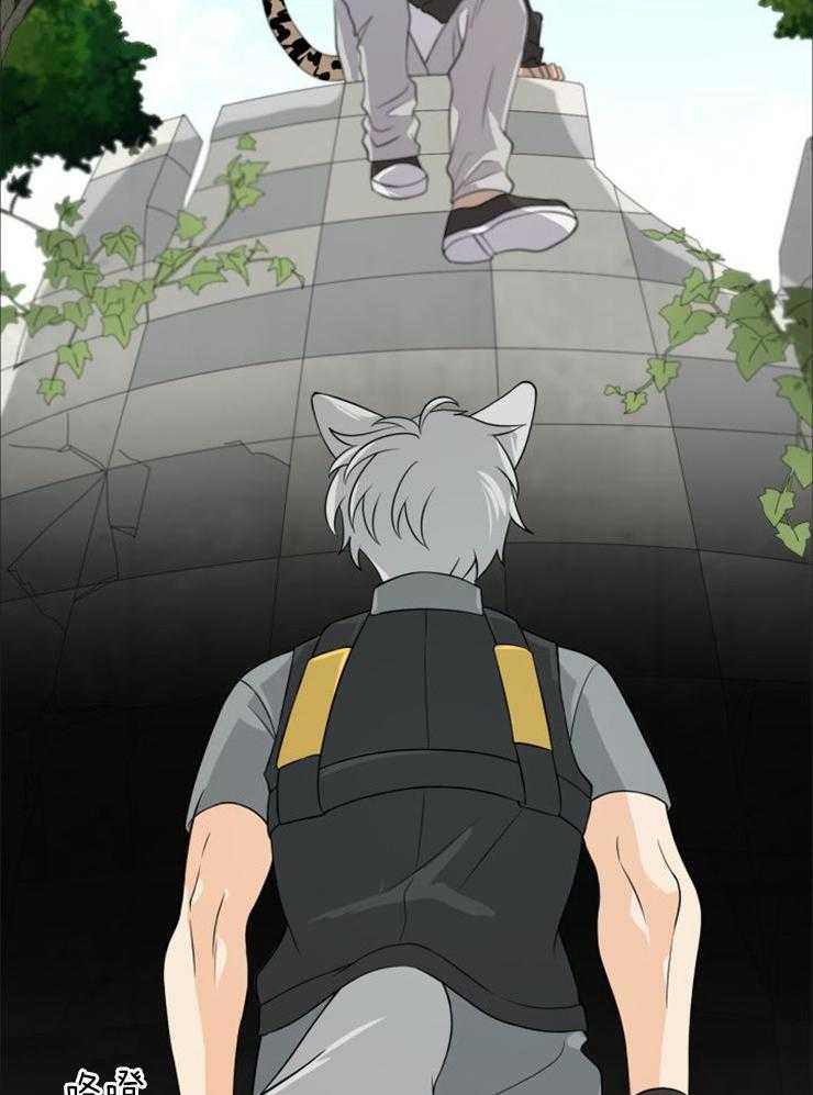 旷野之息（共2季） 第100话 第11页