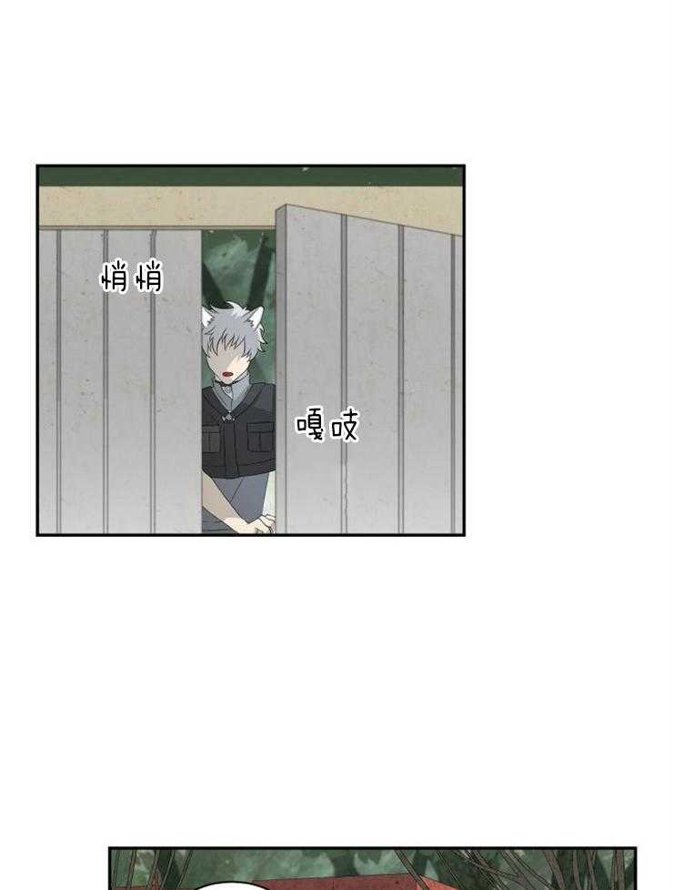 旷野之息（共2季） 第101话 第1页