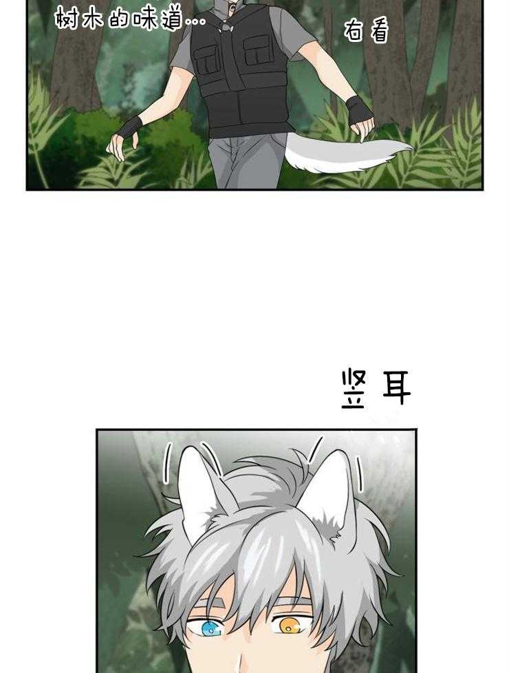 旷野之息（共2季） 第101话 第4页