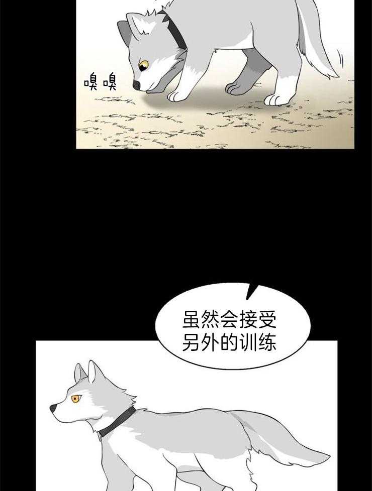 旷野之息（共2季）第101话图
