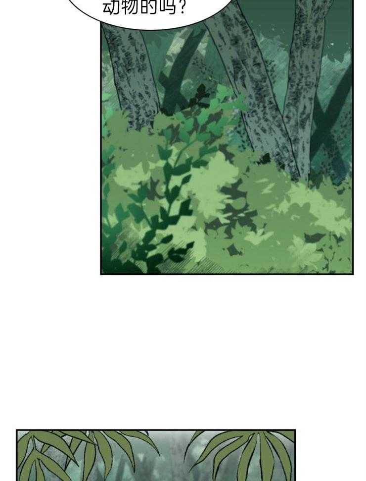 旷野之息（共2季） 第103话 第3页