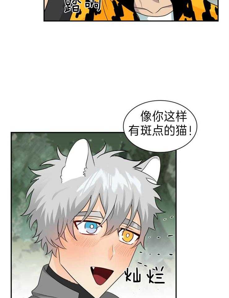 旷野之息（共2季） 第103话 第13页