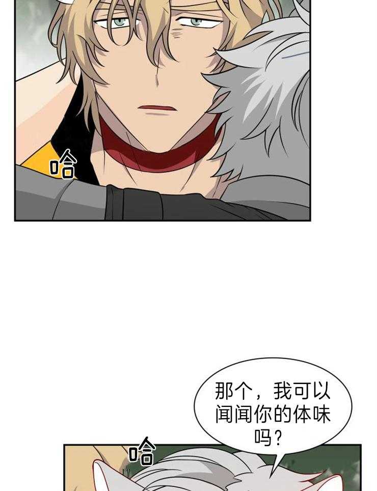 旷野之息（共2季） 第103话 第19页