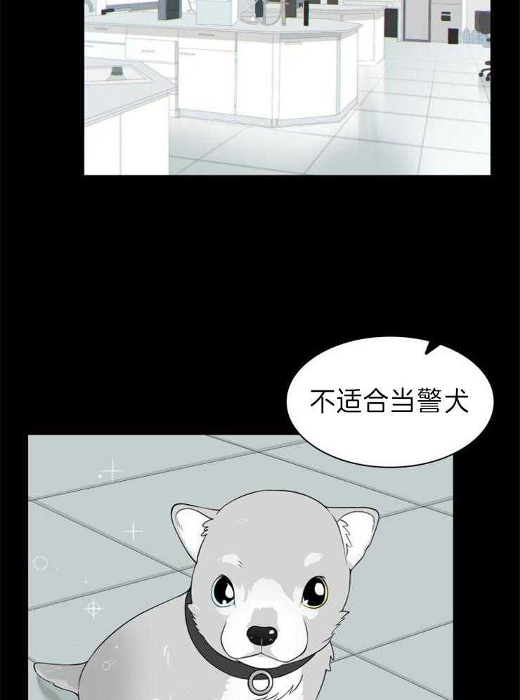 旷野之息（共2季） 第104话 第1页