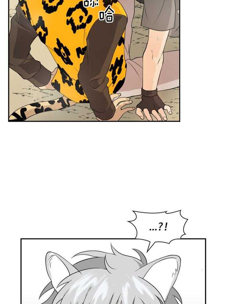 旷野之息（共2季） 第104话 第15页