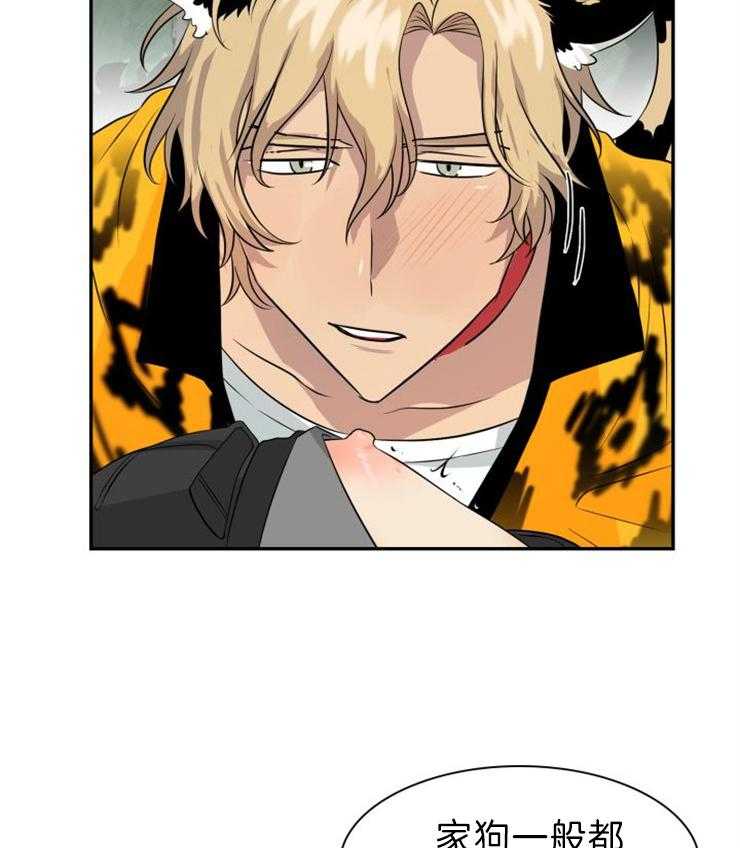 旷野之息（共2季） 第106话 第2页