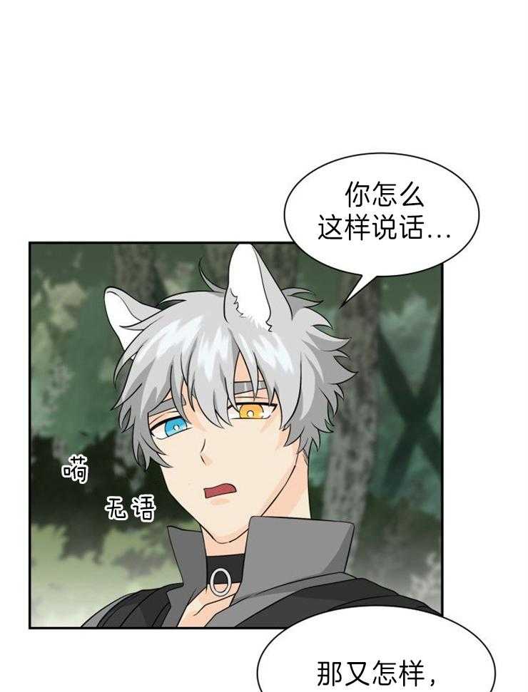 旷野之息（共2季） 第106话 第20页