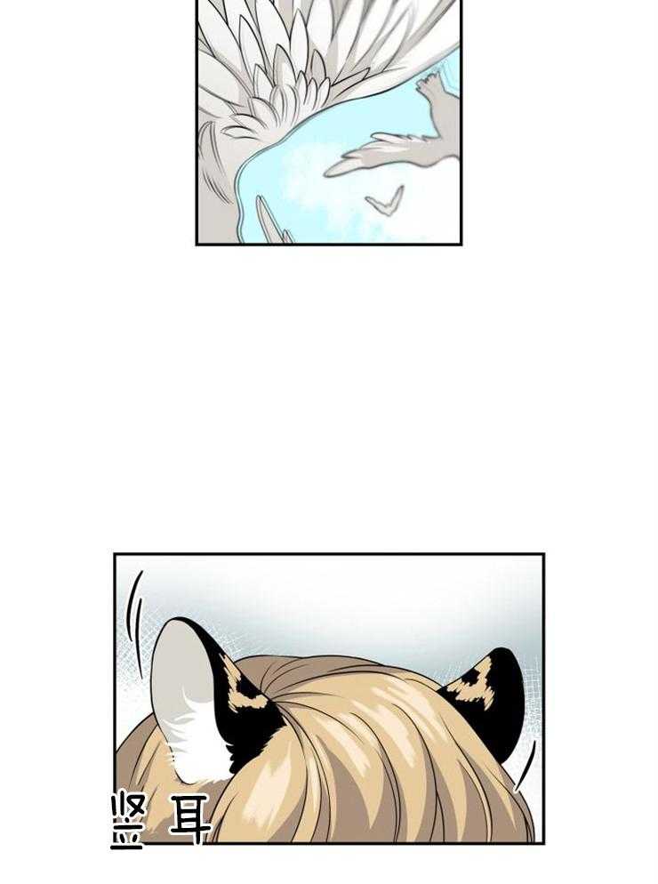 旷野之息（共2季） 第109话 第14页