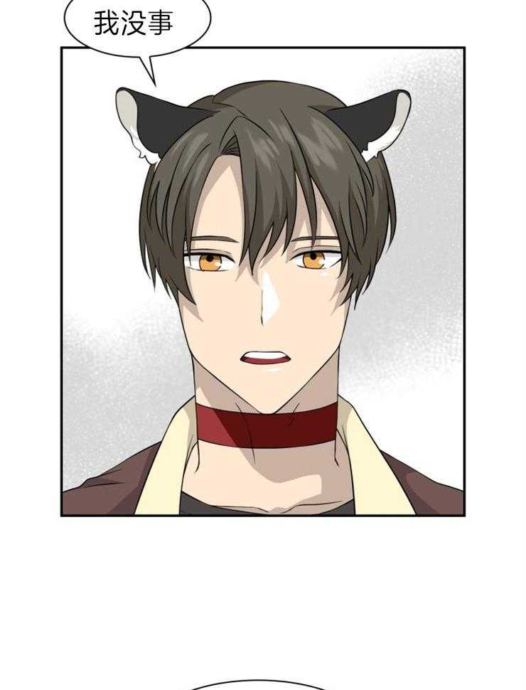 旷野之息（共2季） 第111话 第5页