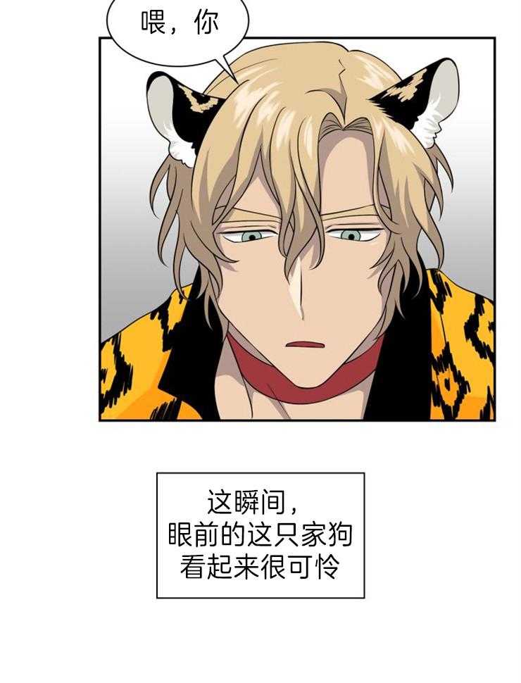 旷野之息（共2季） 第112话 第14页