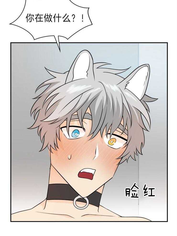 旷野之息（共2季） 第114话 第4页