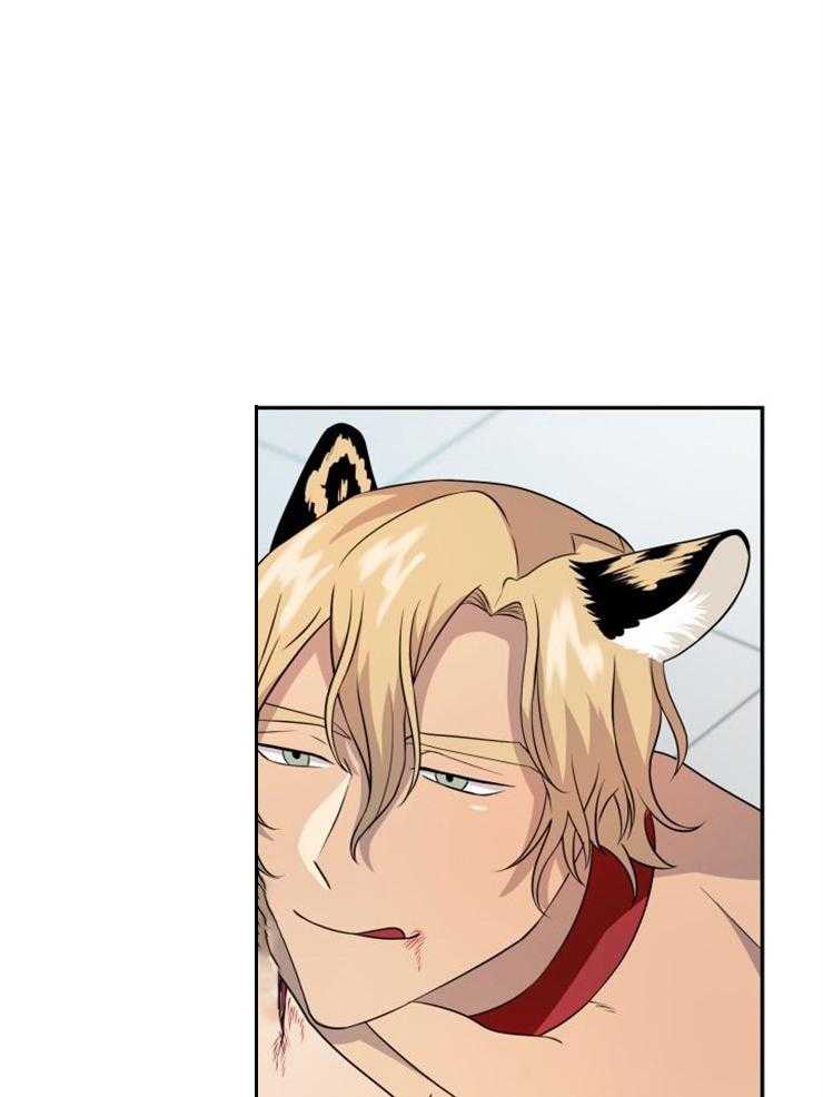 旷野之息（共2季） 第114话 第5页