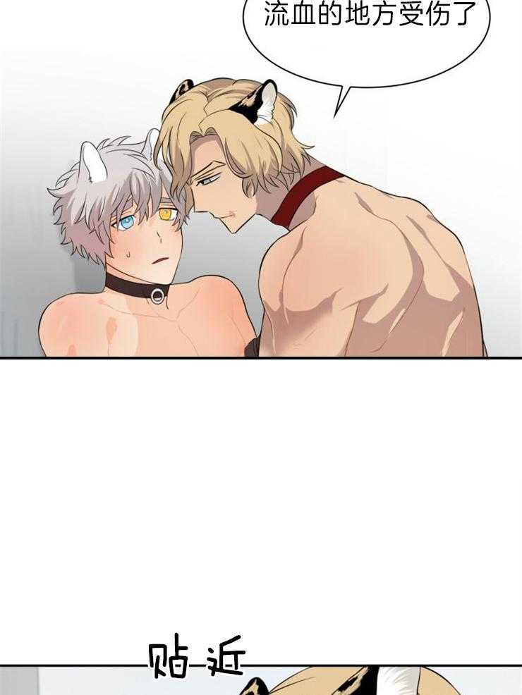 旷野之息（共2季） 第114话 第7页