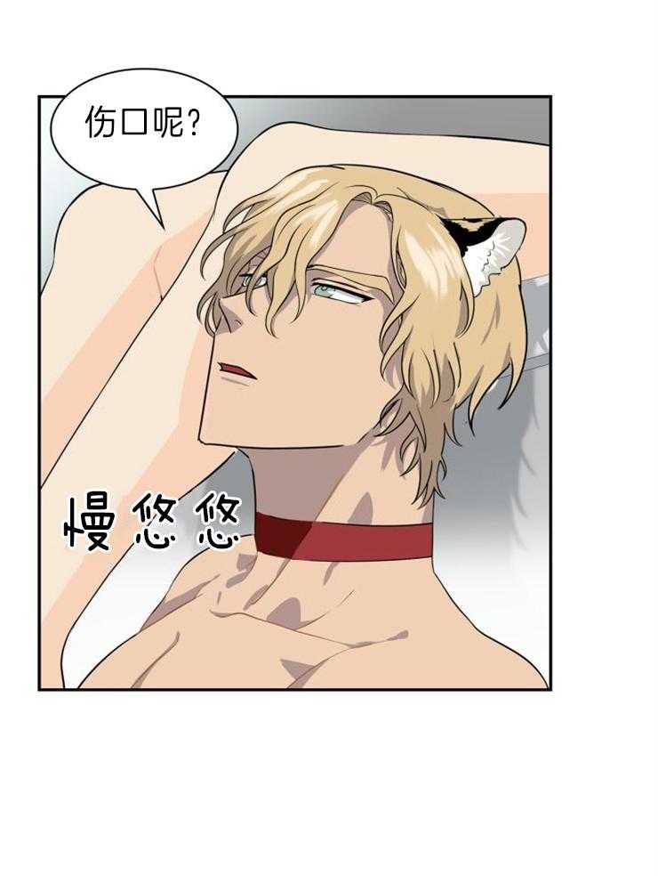 旷野之息（共2季） 第114话 第18页