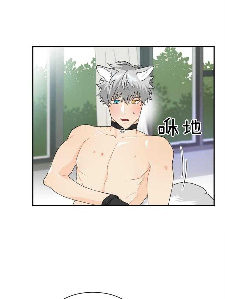 旷野之息（共2季） 第114话 第19页