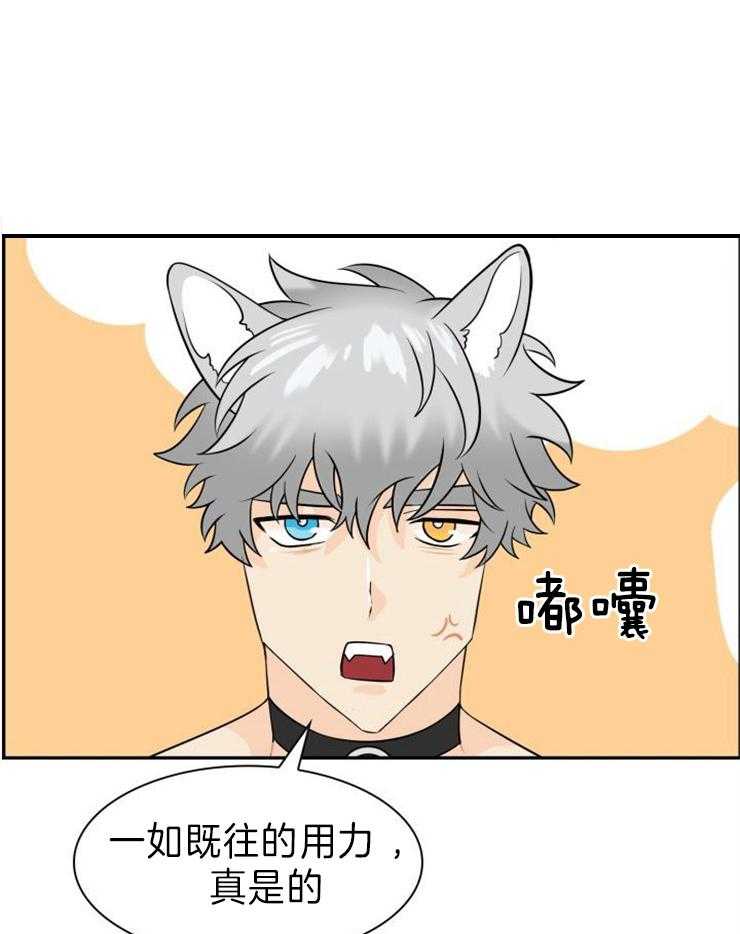 旷野之息（共2季） 第115话 第0页