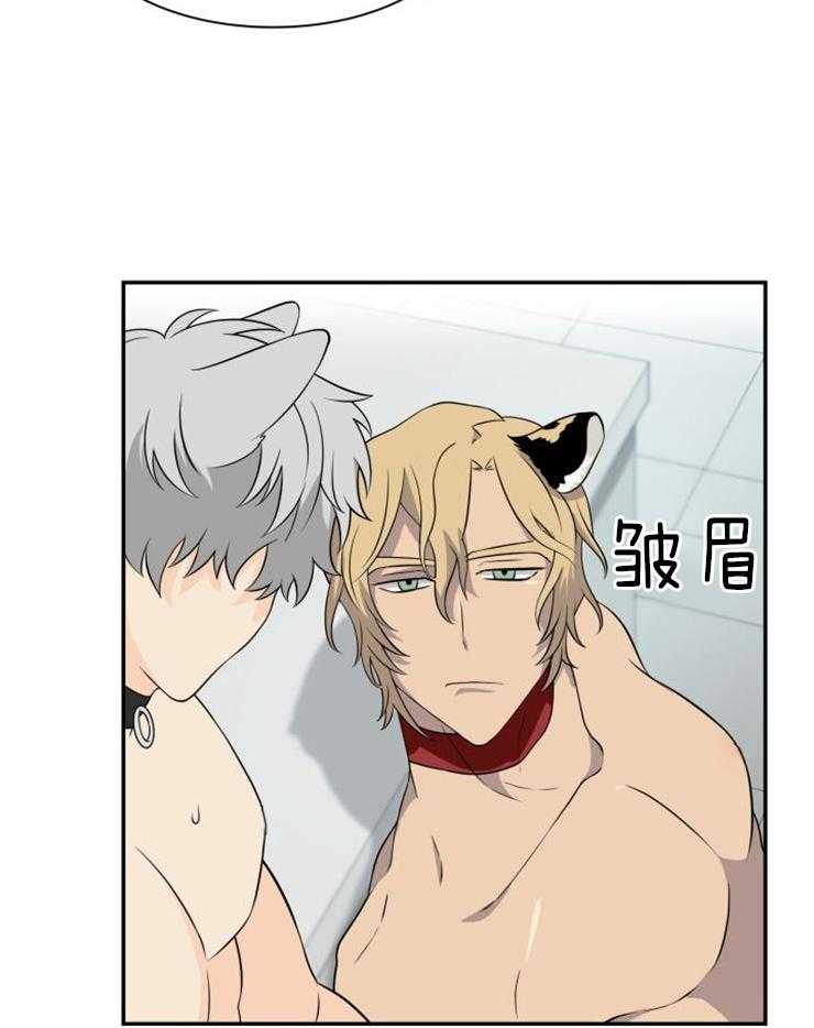 旷野之息（共2季） 第115话 第1页