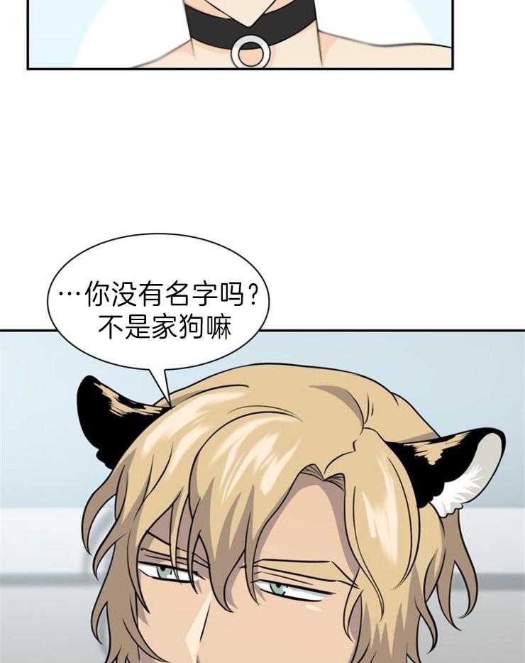 旷野之息（共2季） 第115话 第3页