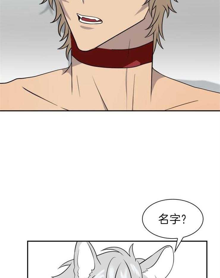 旷野之息（共2季） 第115话 第4页