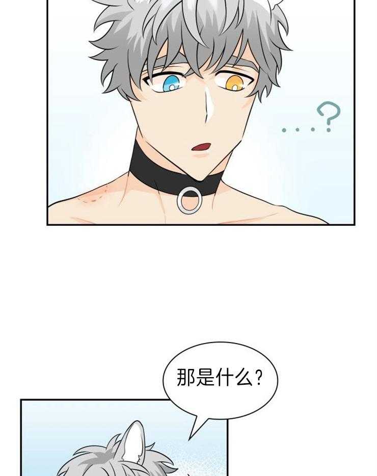 旷野之息（共2季） 第115话 第5页