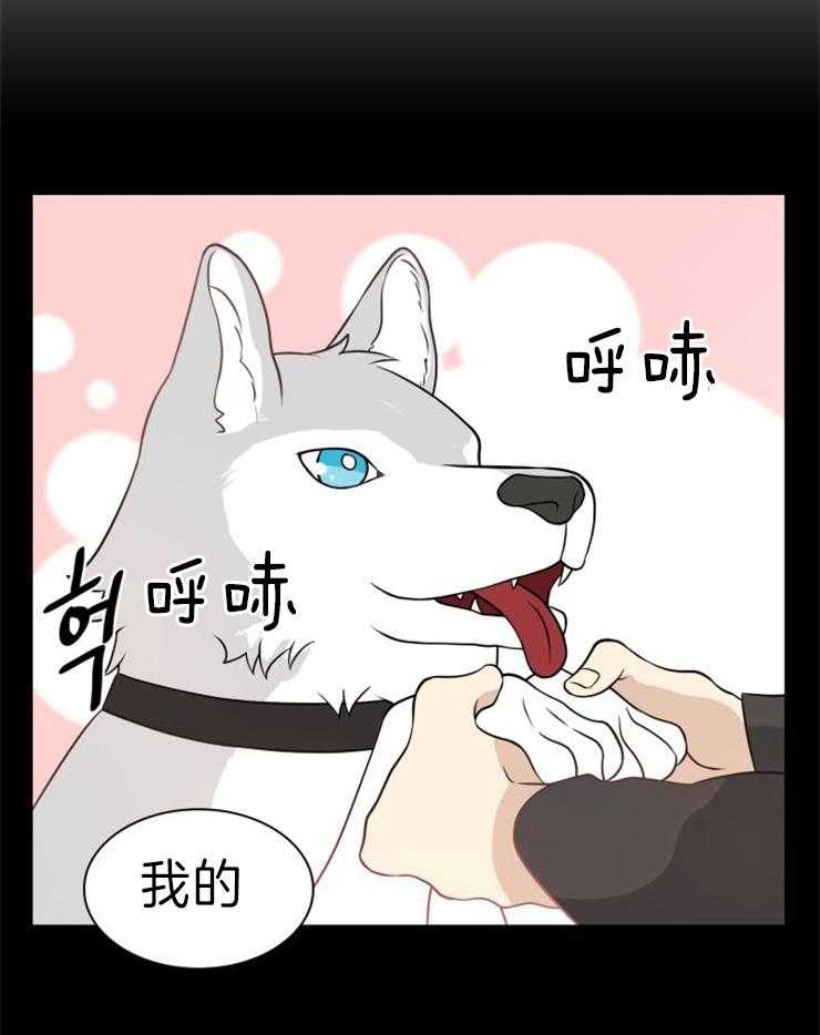 旷野之息（共2季） 第115话 第10页