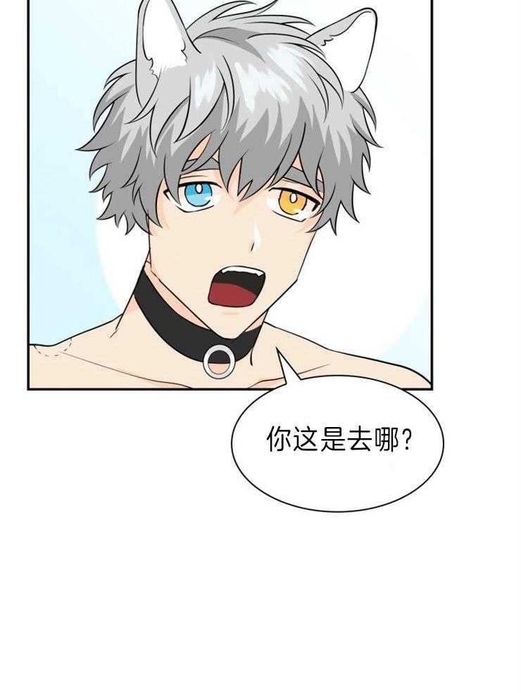 旷野之息（共2季） 第115话 第17页