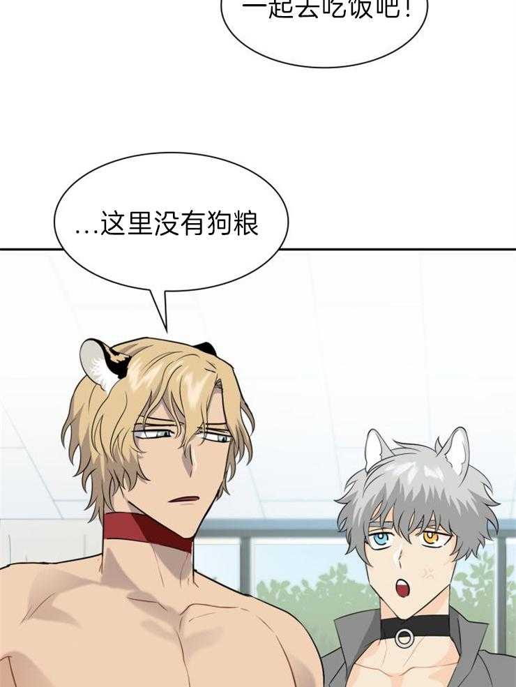 旷野之息（共2季） 第115话 第22页