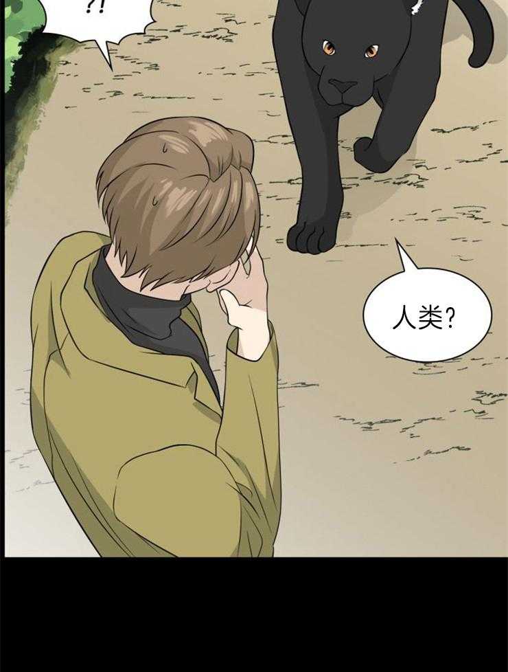 旷野之息（共2季） 第116话 第2页